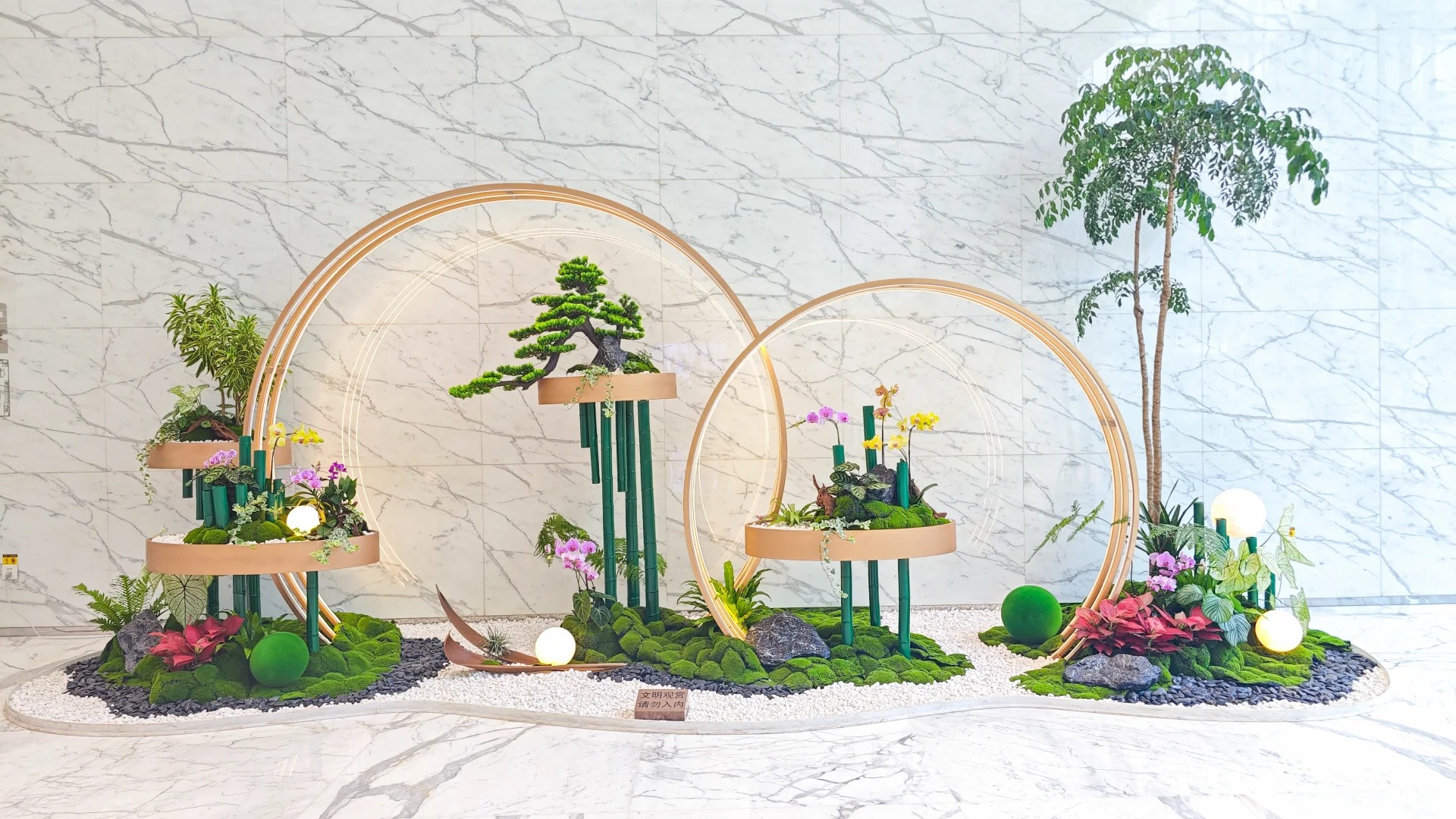 体验余姚绿植租摆,给生活注入盎然绿意!